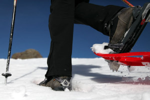 Winter-& Schneeschuhwandern